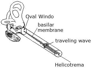 unit-5_ch-9_qn-352Exp_img_no1.png
