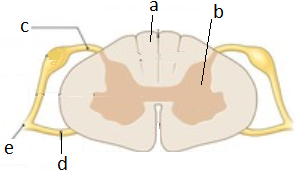 unit-5_ch-9_que_no-499_img_no1.png