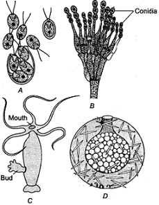 unit-6_ch-2_que_no-8_img_no1.png
