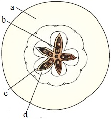 unit-6_ch-4_que_no-191_img_no1.png