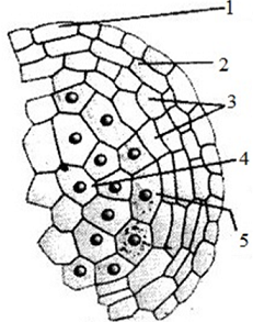 unit-6_ch-4_que_no-22_img_no1.png