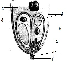 unit-6_ch-4_que_no-29_img_no1.png