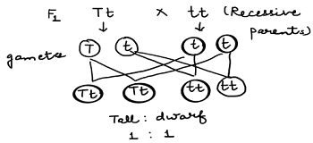 unit-7_ch-1_qn-151Exp_img_no1.png