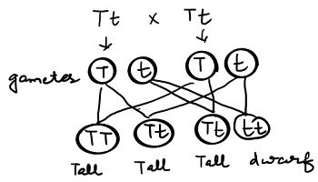 unit-7_ch-1_qn-37Exp_img_no1.png