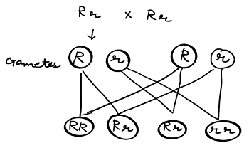 unit-7_ch-1_qn-93Exp_img_no1.png