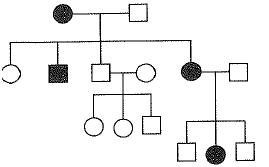 unit-7_ch-2_que_no-335_img_no1.png
