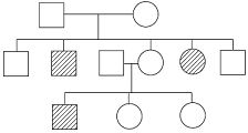 unit-7_ch-2_que_no-507_img_no1.png
