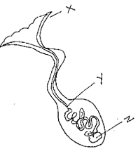 unit-7_ch-2_que_no-528_img_no1.png