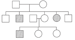 unit-7_ch-2_que_no-88_img_no1.png