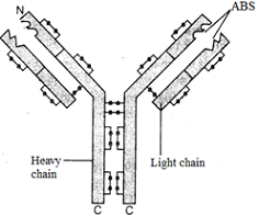 unit-8_ch-2_que_no-292_img_no1.png