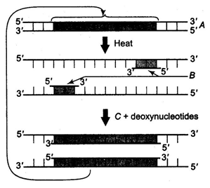 unit-9_ch-1_que_no-283_img_no1.png