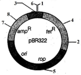 unit-9_ch-1_que_no-295_img_no1.png