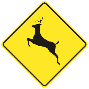 westvirginia-car-driver-permit-test-img129.png