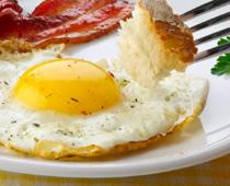 y-egg-B.jpg